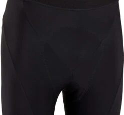 Gore Wear C3 Thermo Tights+ -Kleidung 404480