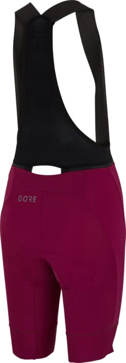 Gore Wear Ardent Damen Bib Shorts+ Trägershorts 21 Gore Wear Ardent Damen Bib Shorts+ Trägershorts -Kleidung 492806