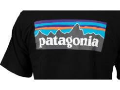 Patagonia P-6 Logo Responsibili-Tee T-Shirt -Kleidung 498182